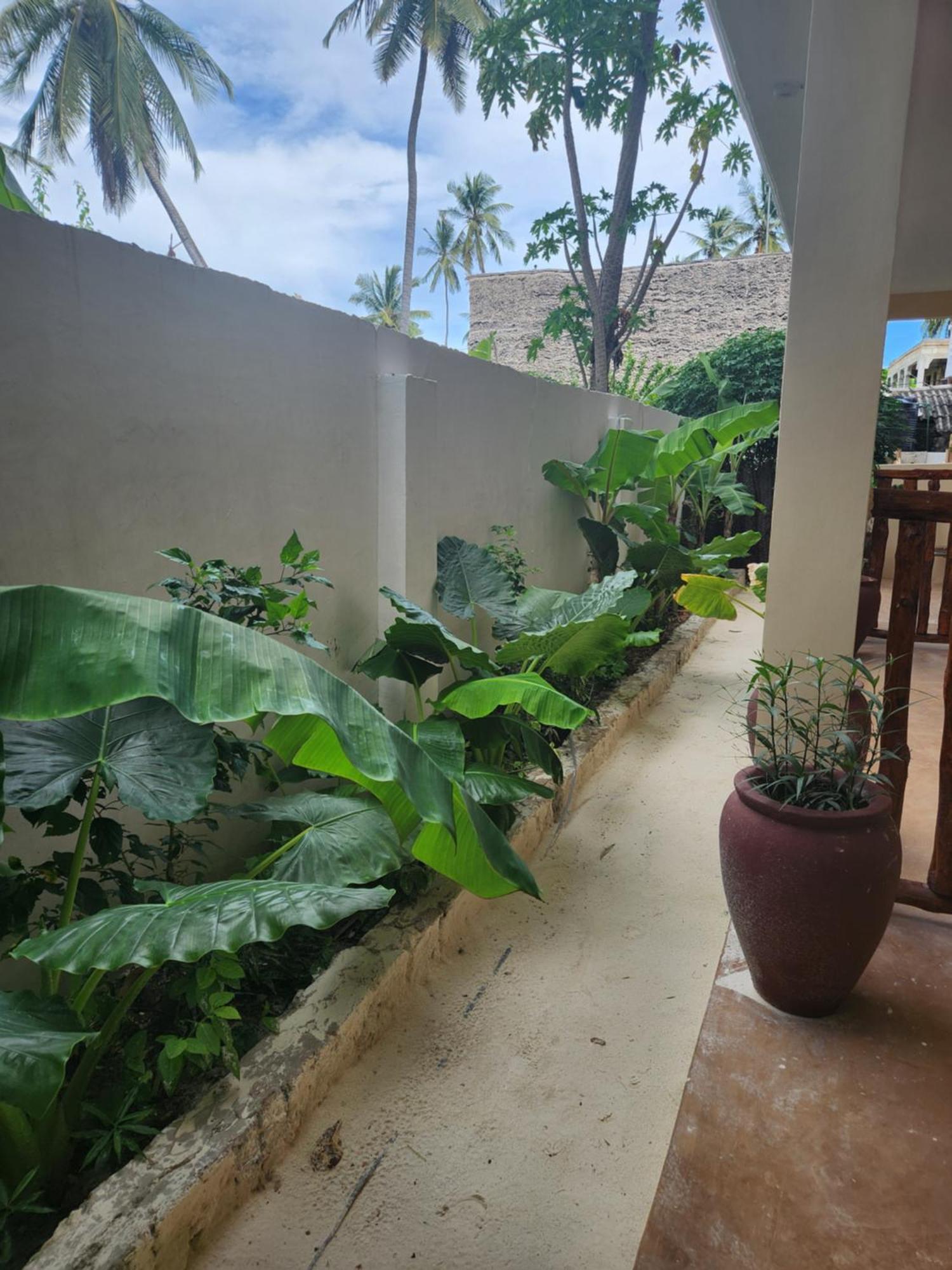 Two Palms Hotel Jambiani  Exterior foto